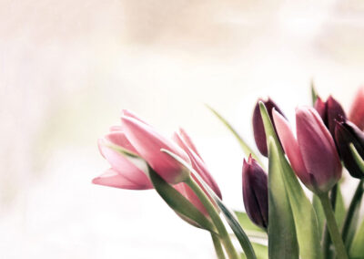 florist-01