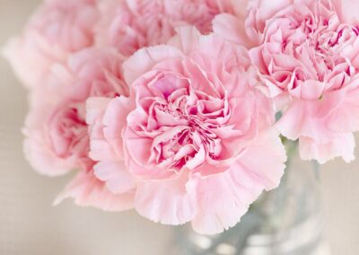 flowers-1325012_1920